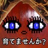 情探岛